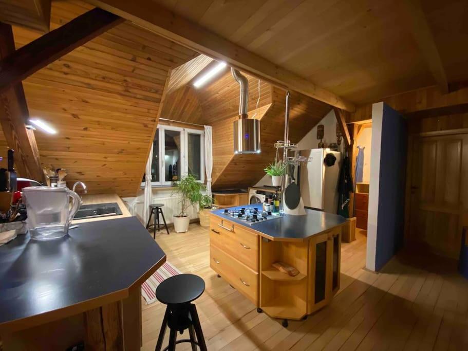 Apartman Rooftop 180m2 Loft With Private Sauna, Pozsony